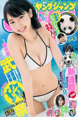与狼共舞第二部
